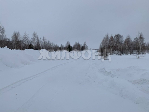 
  Продается земельный участок 8.03 соток. Фото 6.