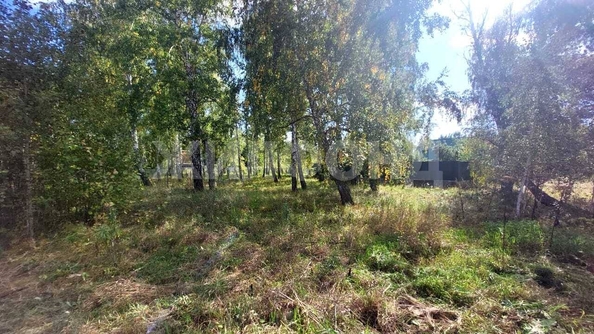 
  Продается земельный участок, 15 соток, село Боровое
. Фото 15.