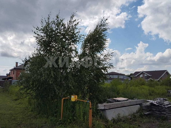 
  Продается земельный участок, 10 соток, село Каменка
. Фото 2.