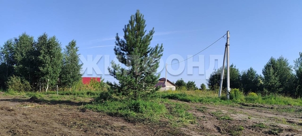 
  Продается земельный участок, 19.06 соток, село Морозово
. Фото 7.