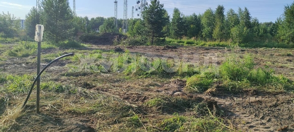 
  Продается земельный участок, 19.06 соток, село Морозово
. Фото 10.