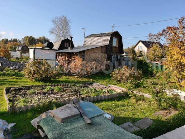 
  Продается дача, 43 м², село Каменка
. Фото 13.