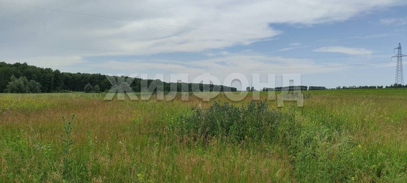 
  Продается земельный участок, 10 соток, село Алексеевка
. Фото 5.