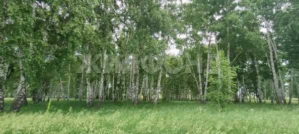 
  Продается земельный участок, 10 соток, село Алексеевка
. Фото 10.