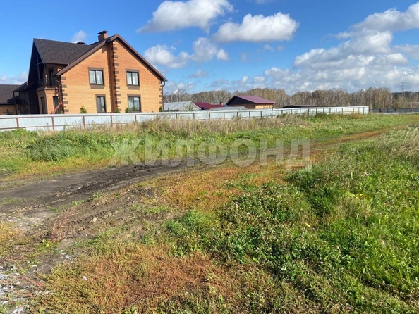 
  Продается земельный участок, 12.99 соток, рабочий поселок Мошково
. Фото 4.