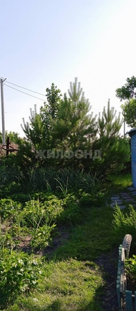 
  Продается дача, 20 м², село Криводановка
. Фото 4.