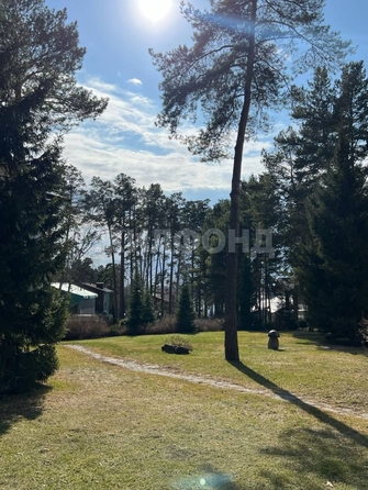 
  Продается 1-комн. квартира, 44.6 м², Дачное ш, д. 2/1
. Фото 11.