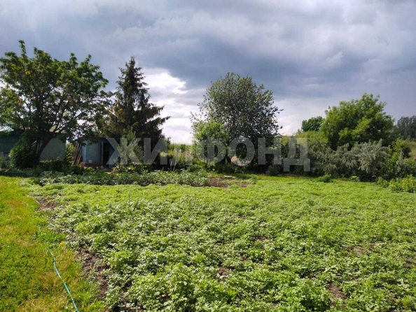 
  Продается земельный участок, 9 соток, село Криводановка
. Фото 5.