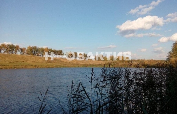 
  Продается земельный участок, 103.07 сотки, село Томилово
. Фото 5.