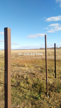 
  Продается земельный участок, 970 соток, село Новопичугово
. Фото 9.
