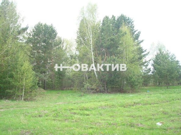 
  Продается земельный участок, 50 соток, поселок Барлакский
. Фото 7.