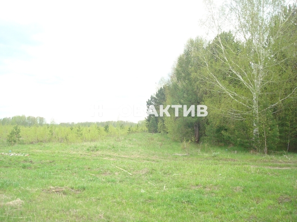 
  Продается земельный участок, 50 соток, поселок Барлакский
. Фото 8.