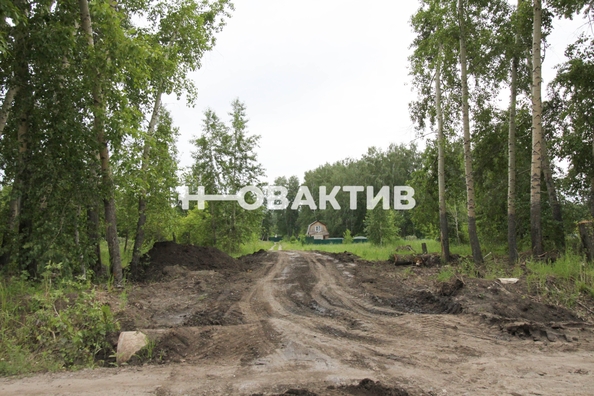
  Продается земельный участок, 11.08 соток, посёлок Новониколаевский
. Фото 1.