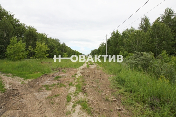 
  Продается земельный участок, 11.08 соток, посёлок Новониколаевский
. Фото 15.