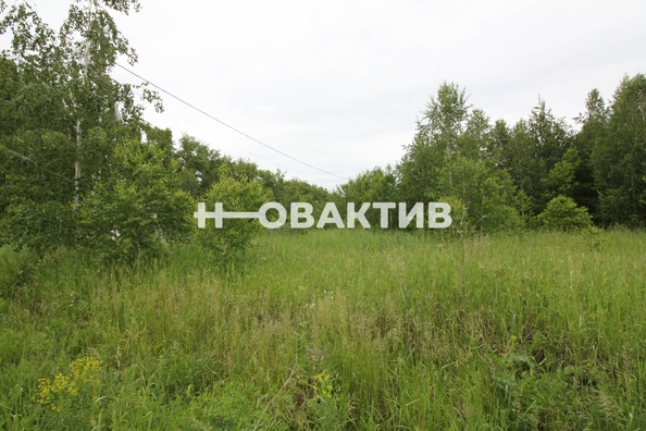 
  Продается земельный участок, 11.08 соток, посёлок Новониколаевский
. Фото 18.