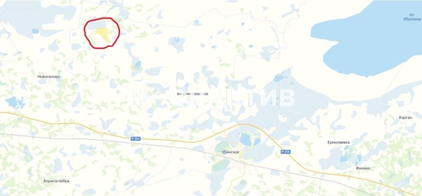 
  Продается земельный участок, 13740 соток, деревня Ксеньевка
. Фото 3.
