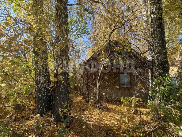
  Продается дача, 20 м², Новосибирск
. Фото 1.