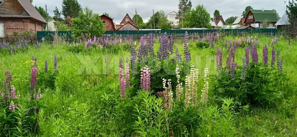 
  Продается дача, 25 м², СНТ Мелиоратор
. Фото 4.