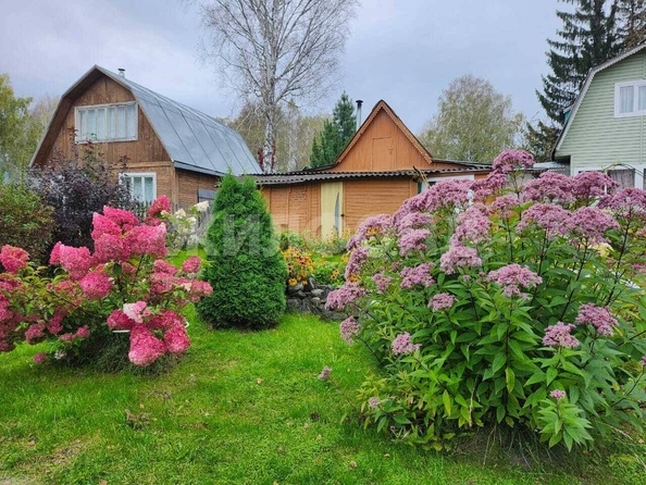 
  Продается дача, 45 м², СНТ Ромашка
. Фото 18.