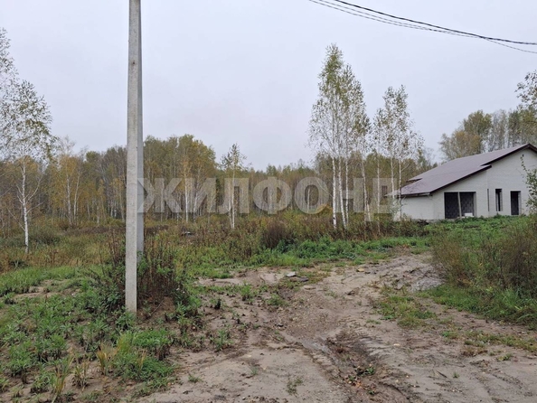 
  Продается земельный участок, 10 соток, СНТ Облепиха (Станционный сельсовет)
. Фото 5.