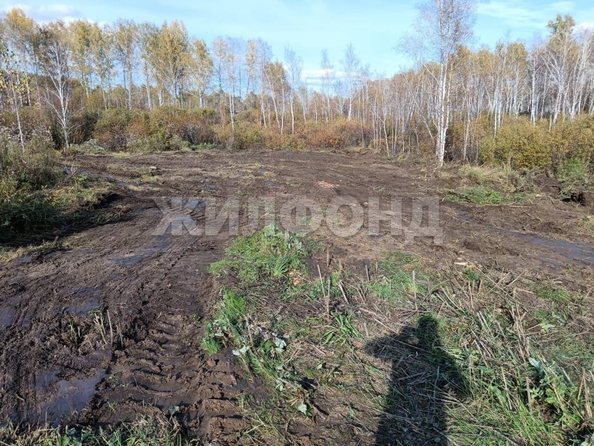 
  Продается земельный участок, 10 соток, СНТ Облепиха (Станционный сельсовет)
. Фото 10.