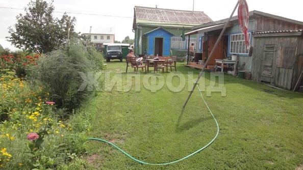 
  Продается земельный участок, 25 соток, село Чингис
. Фото 3.