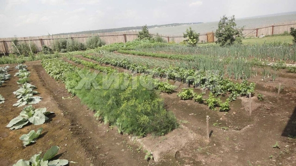 
  Продается земельный участок, 25 соток, село Чингис
. Фото 12.