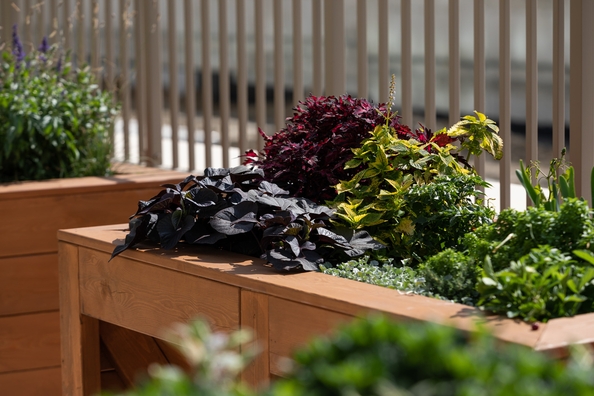 
  Продается 3-комн. квартира, 67.07 м², ЖК Balance (Баланс), 2 очередь
. Фото 14.