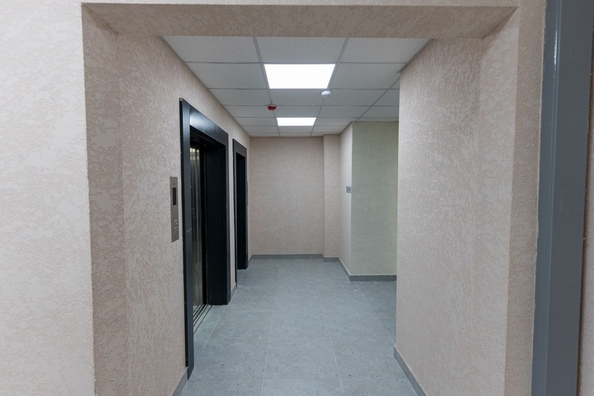 
  Продается студия, 24.9 м², ЖК Свои люди, дом 2
. Фото 11.