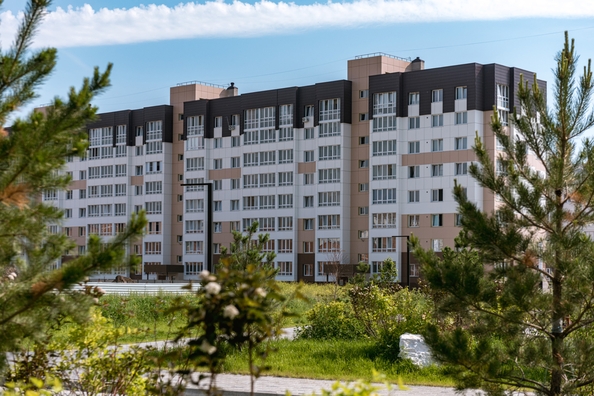 
  Продается 2-комн. квартира 49.6 м², в ЖК Фламинго, дом 20. Фото 2.