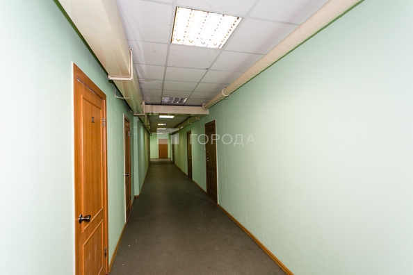 
  Сдается офис 55.5 м². Фото 5.