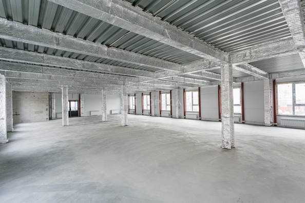 
  Сдается универсальное помещение 1000 м². Фото 13.