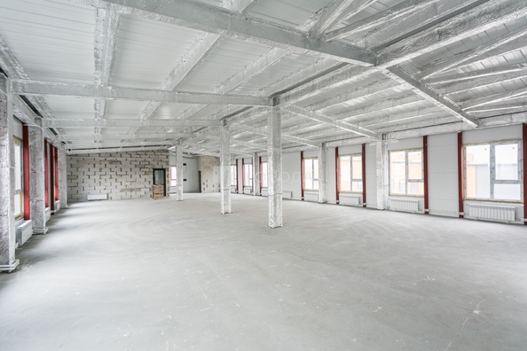 
  Сдается универсальное помещение 1000 м². Фото 21.