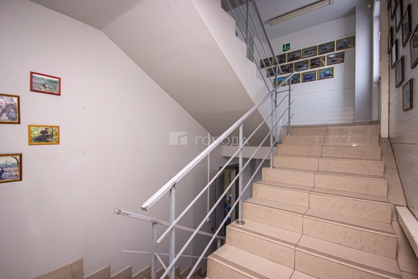 
  Продается универсальное помещение 891.9 м². Фото 19.