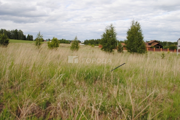 
  Продается земельный участок 1330.8 соток. Фото 7.