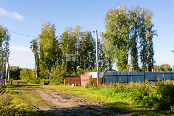 
  Продается земельный участок 8 соток. Фото 4.
