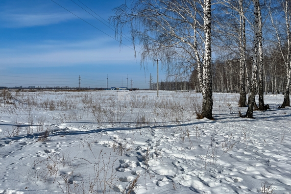 
  Продается земельный участок 8.99 соток. Фото 16.