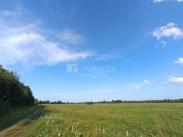 
  Продается земельный участок 3745.2 соток. Фото 11.