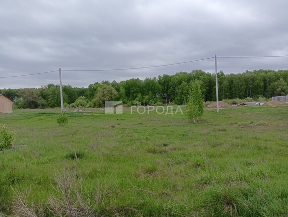 
  Продается земельный участок 9 соток. Фото 3.