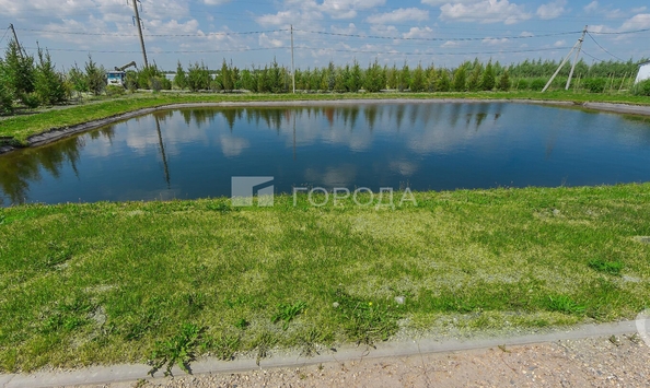 
  Продается земельный участок 6.33 соток, в КП Тандем. Фото 2.