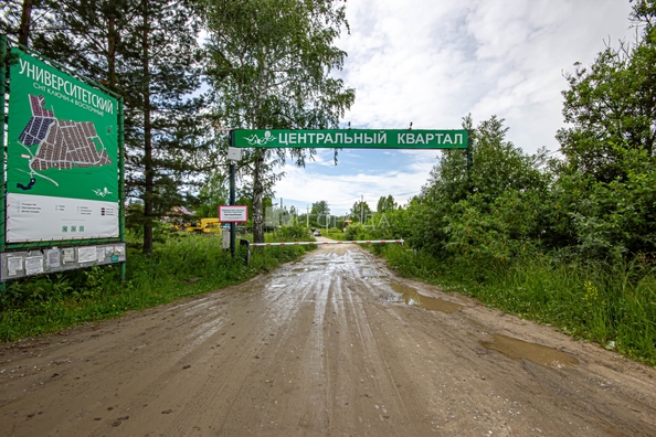 
  Продается земельный участок 5.99 соток. Фото 5.