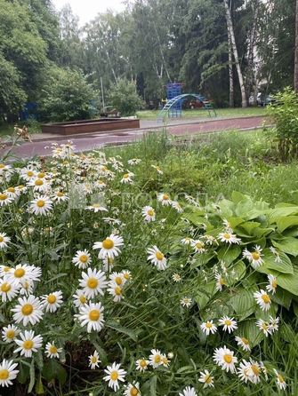 
  Продается 3-комн. квартира 62 м². Фото 8.