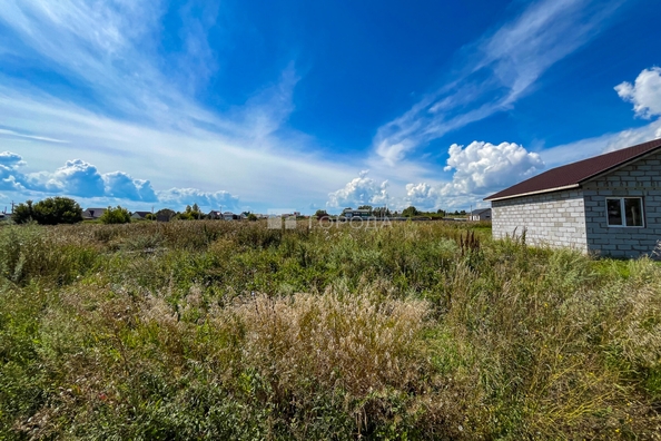 
  Продается земельный участок 10 соток. Фото 7.