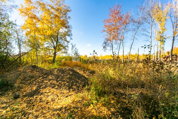 
  Продается земельный участок 5.8 соток. Фото 3.