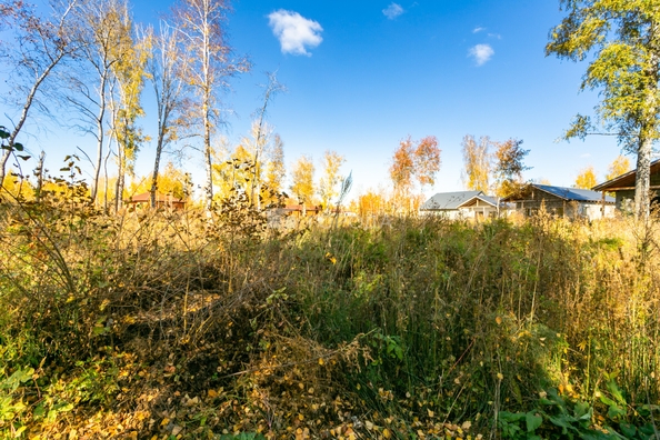 
  Продается земельный участок 5.8 соток. Фото 7.