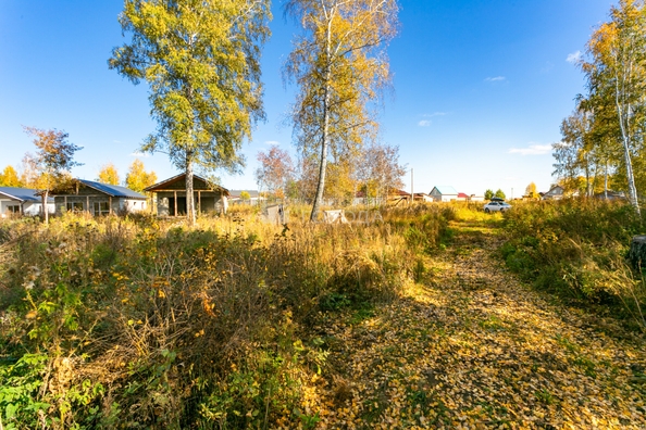 
  Продается земельный участок 5.8 соток. Фото 12.