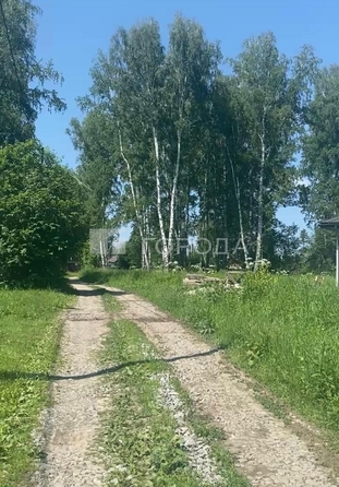 
  Продается земельный участок 1198 соток. Фото 2.