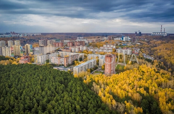 
  Продается универсальное помещение 411 м². Фото 4.