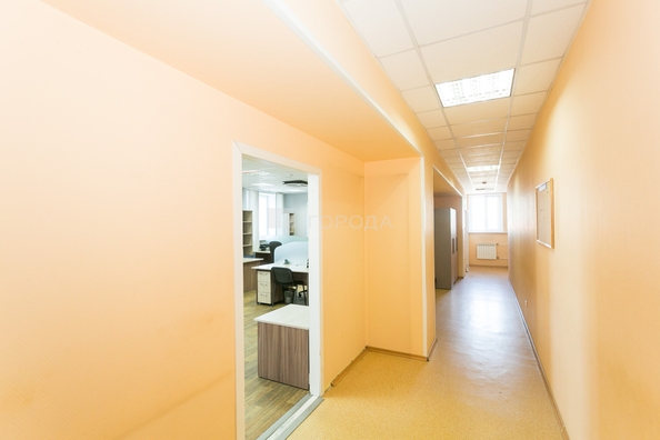 
  Сдается офис 225.9 м². Фото 5.