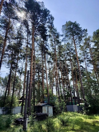 
  Продается дача 35 м². Фото 13.